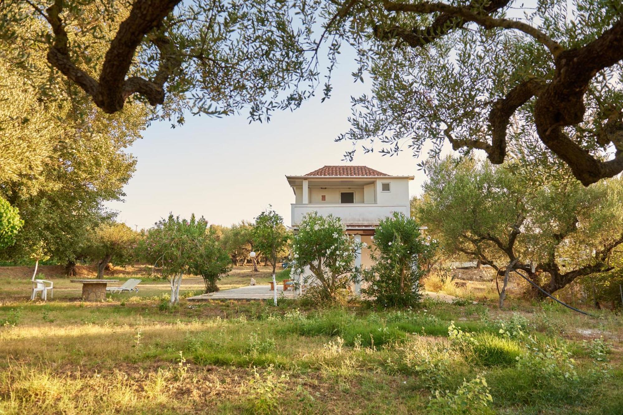 Villa Rania / Zante Drosia Kypseli Exterior foto