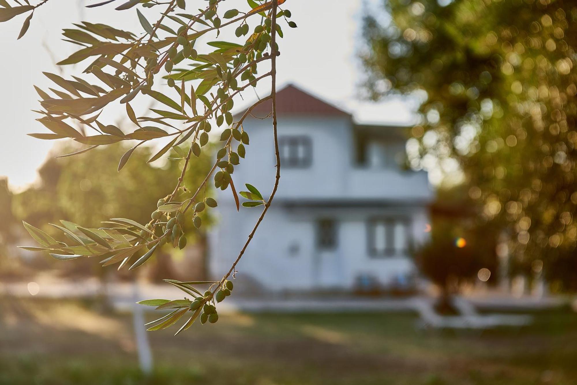 Villa Rania / Zante Drosia Kypseli Exterior foto